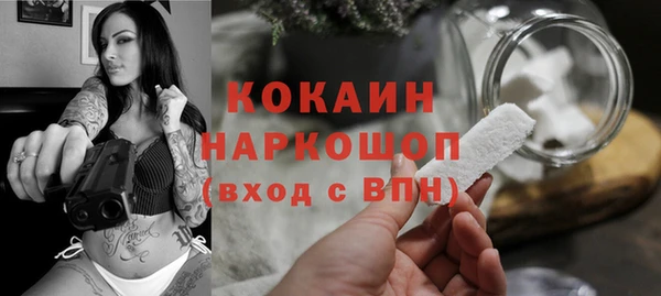стафф Коряжма
