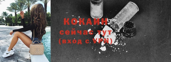 дживик Горнозаводск