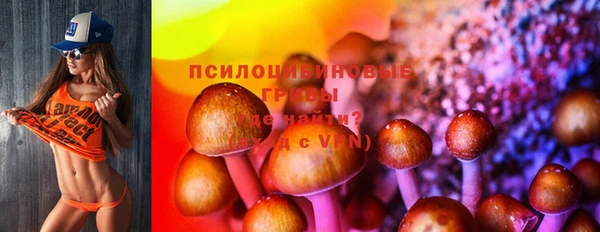 гидропоника Гусев