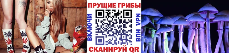 Галлюциногенные грибы GOLDEN TEACHER  мега ONION  Поворино  где продают наркотики 