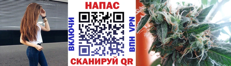 ссылка на мегу маркетплейс  Поворино  Марихуана конопля 